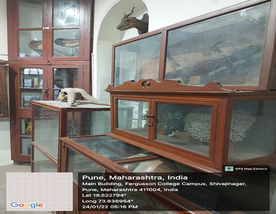 Zoology Museum